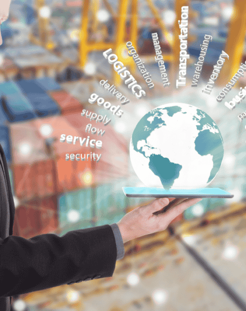 Supply-Chain-480x607 (1)